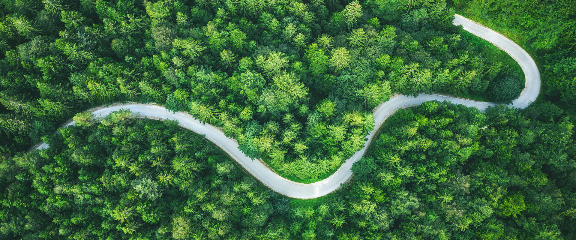 h视频
股份可持续发展理念.jpg