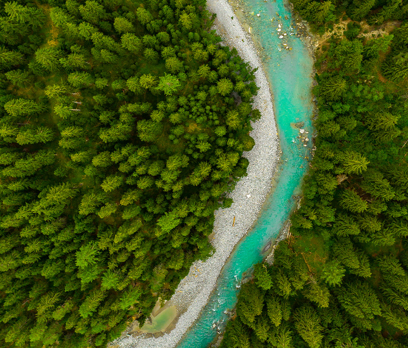 h视频
股份可持续发展理念