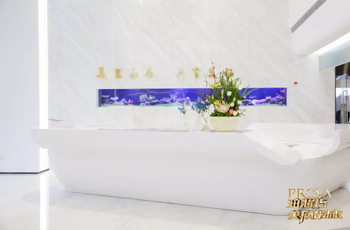 1548917036822331m5aO.png blob.png