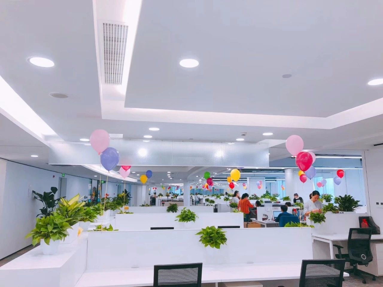 1548914540787158ubZB.png blob.png