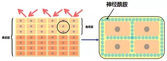 1496720182659341HlJn.jpg 3.webp.jpg