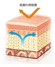 14967202594673967FFd.jpg 6.webp.jpg